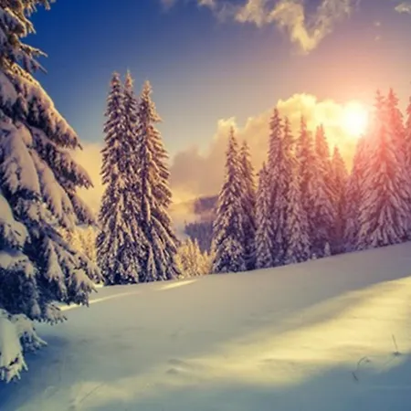 Sackmann Genuss Und באיירסברון