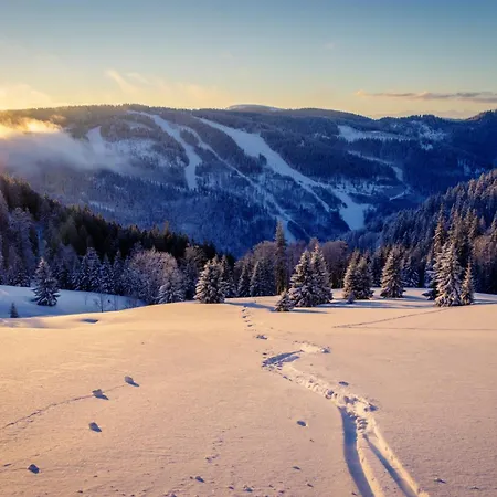 Sackmann Genuss Und באיירסברון