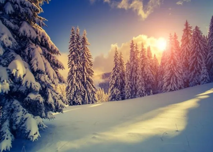 Sackmann Genuss Und Baiersbronn