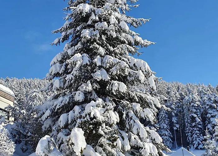 فندق Sackmann Genuss Und