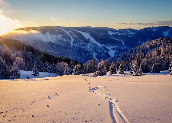 Sackmann Genuss Und بيرسبرون